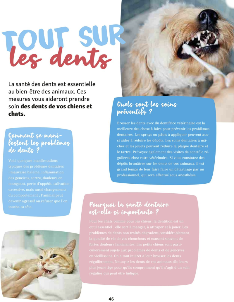 Maxi Zoo catalogue du 01/09 au 01/10/2025 – page 46