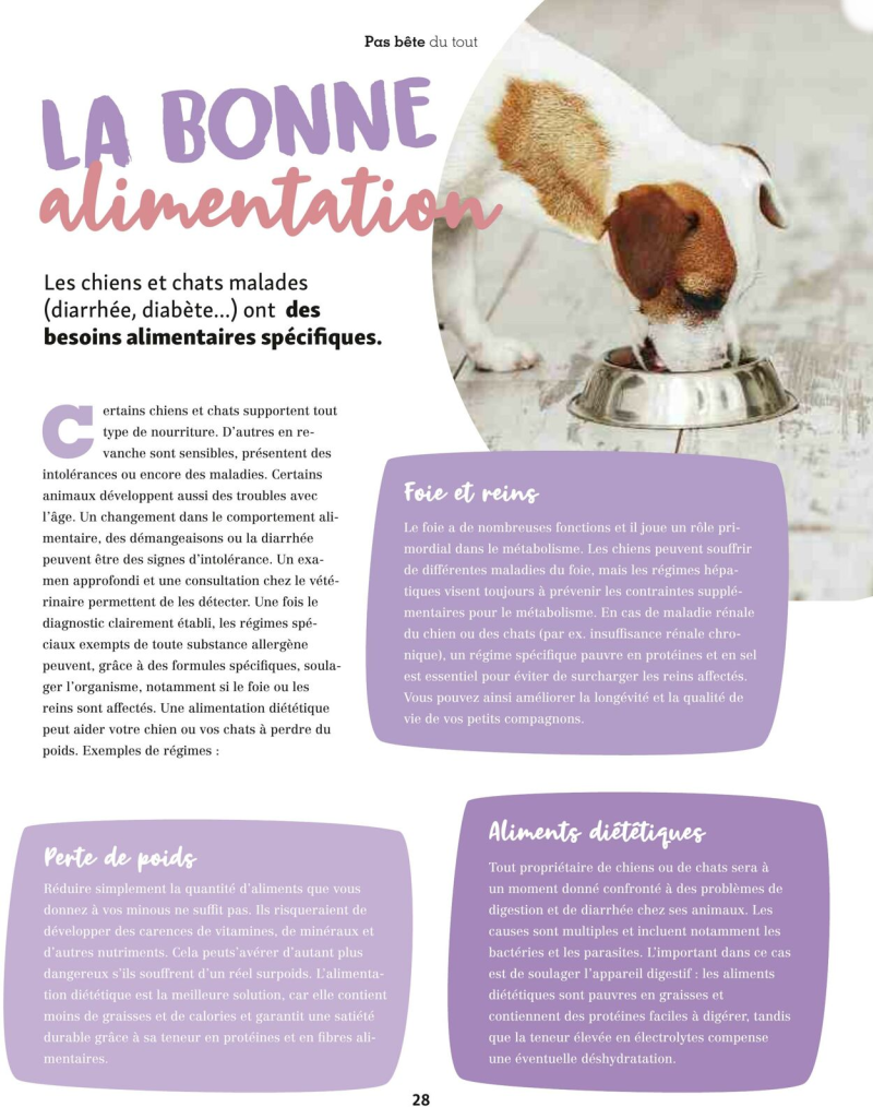Maxi Zoo catalogue du 01/09 au 01/10/2025 – page 28