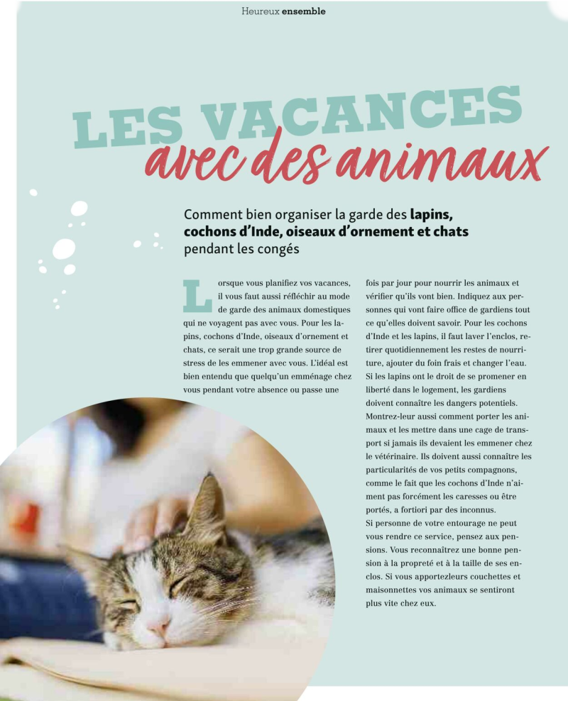 Maxi Zoo catalogue du 01/09 au 01/10/2025 – page 40