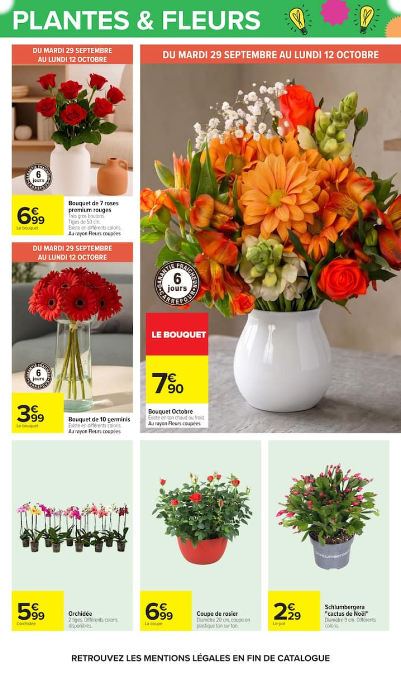 Carrefour catalogue du 29/09 au 13/10/2026 – page 73