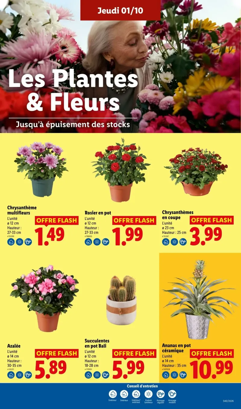 Lidl catalogue du 27/09 au 08/10/2026 – page 29