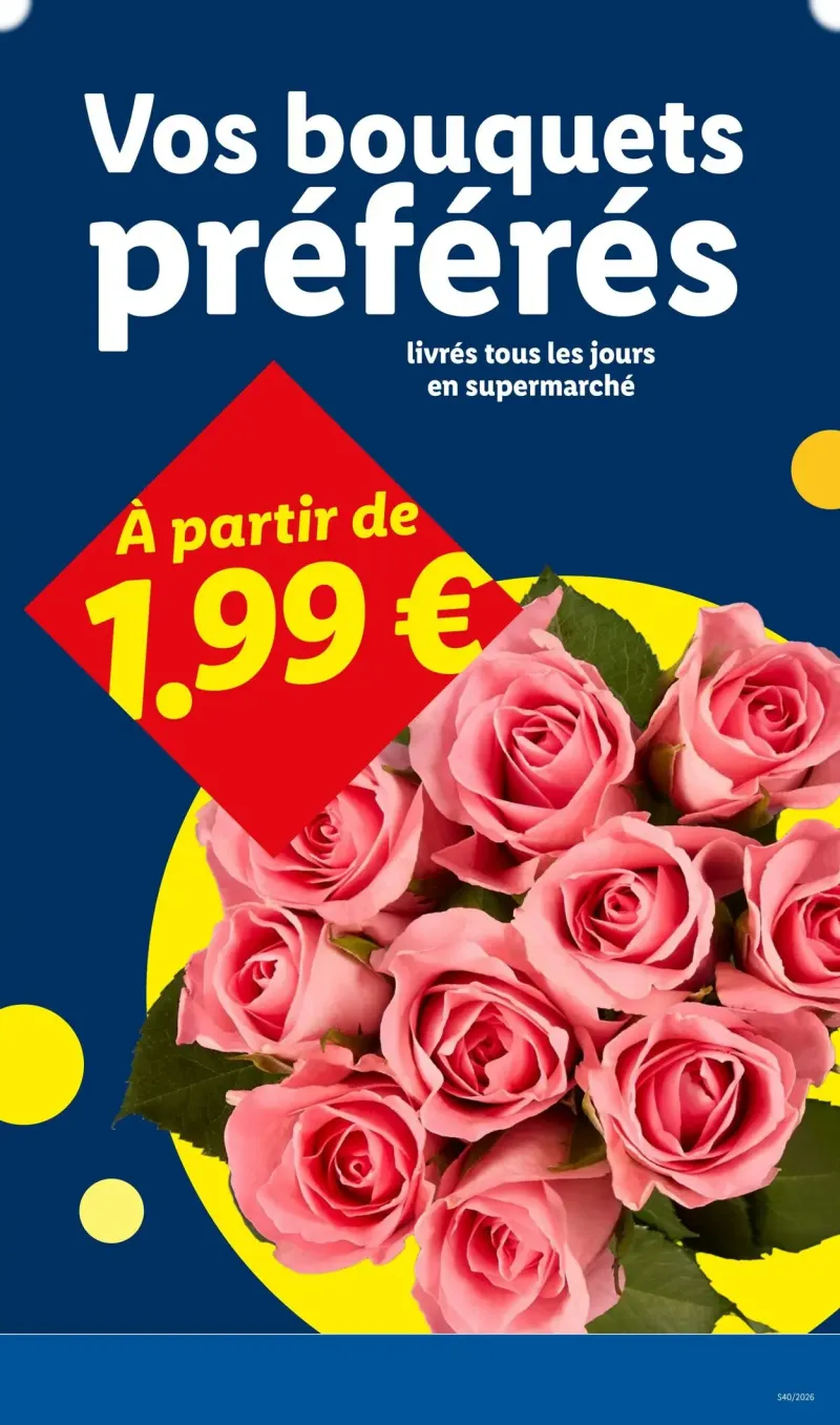 Lidl catalogue du 27/09 au 08/10/2026 – page 31