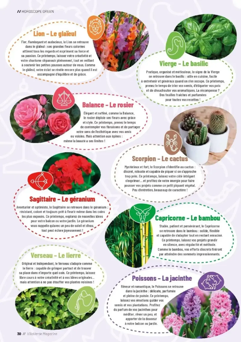 VillaVerde catalogue du 01/04 – page 30