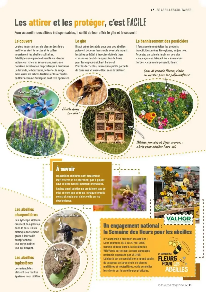 VillaVerde catalogue du 01/04 – page 15