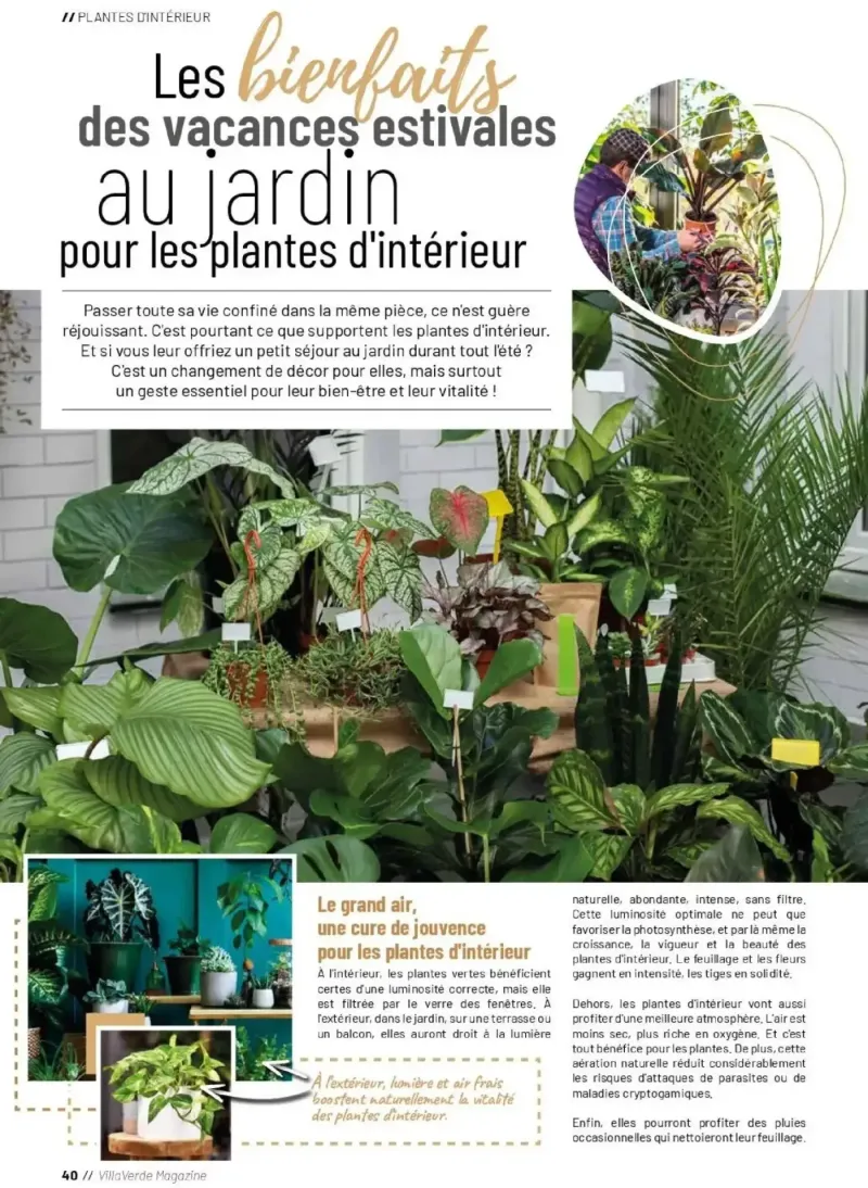 VillaVerde catalogue du 01/04 – page 40