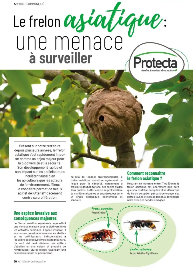 VillaVerde catalogue du 01/04 – page 36