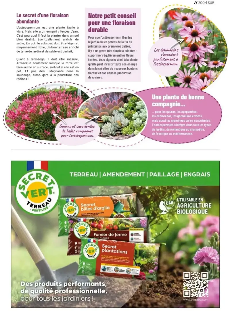 VillaVerde catalogue du 01/04 – page 19