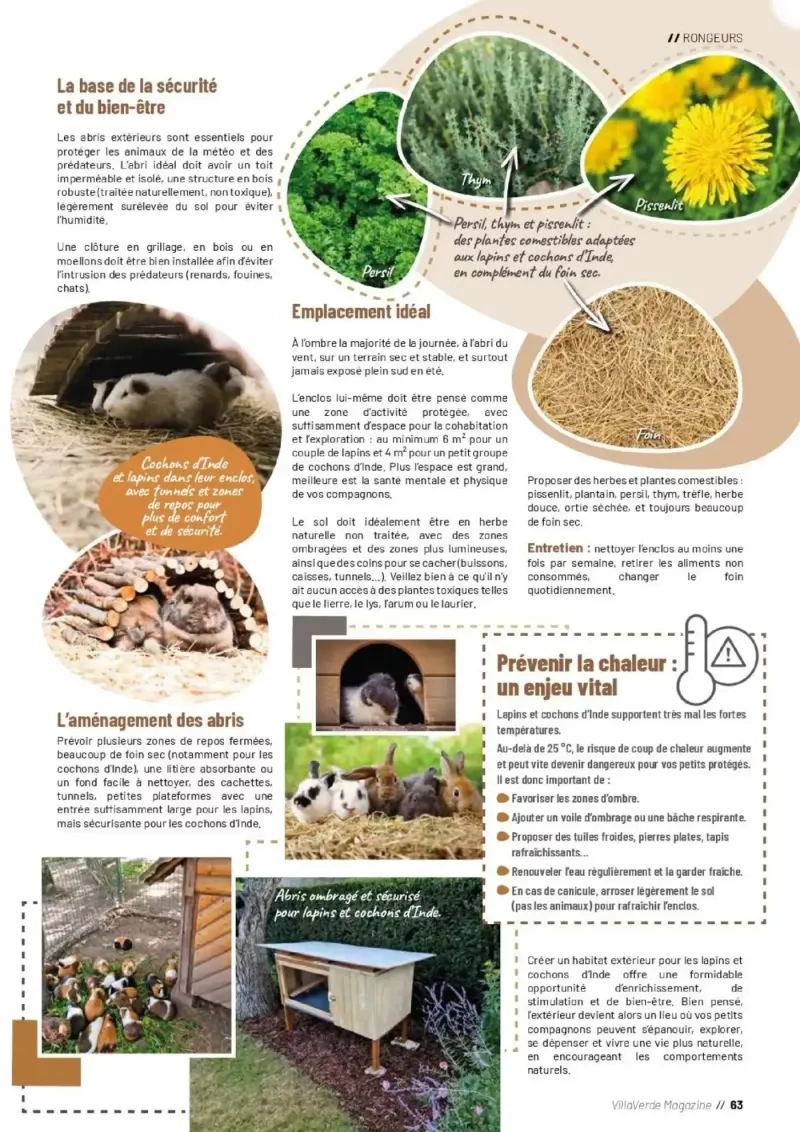 VillaVerde catalogue du 01/04 – page 63