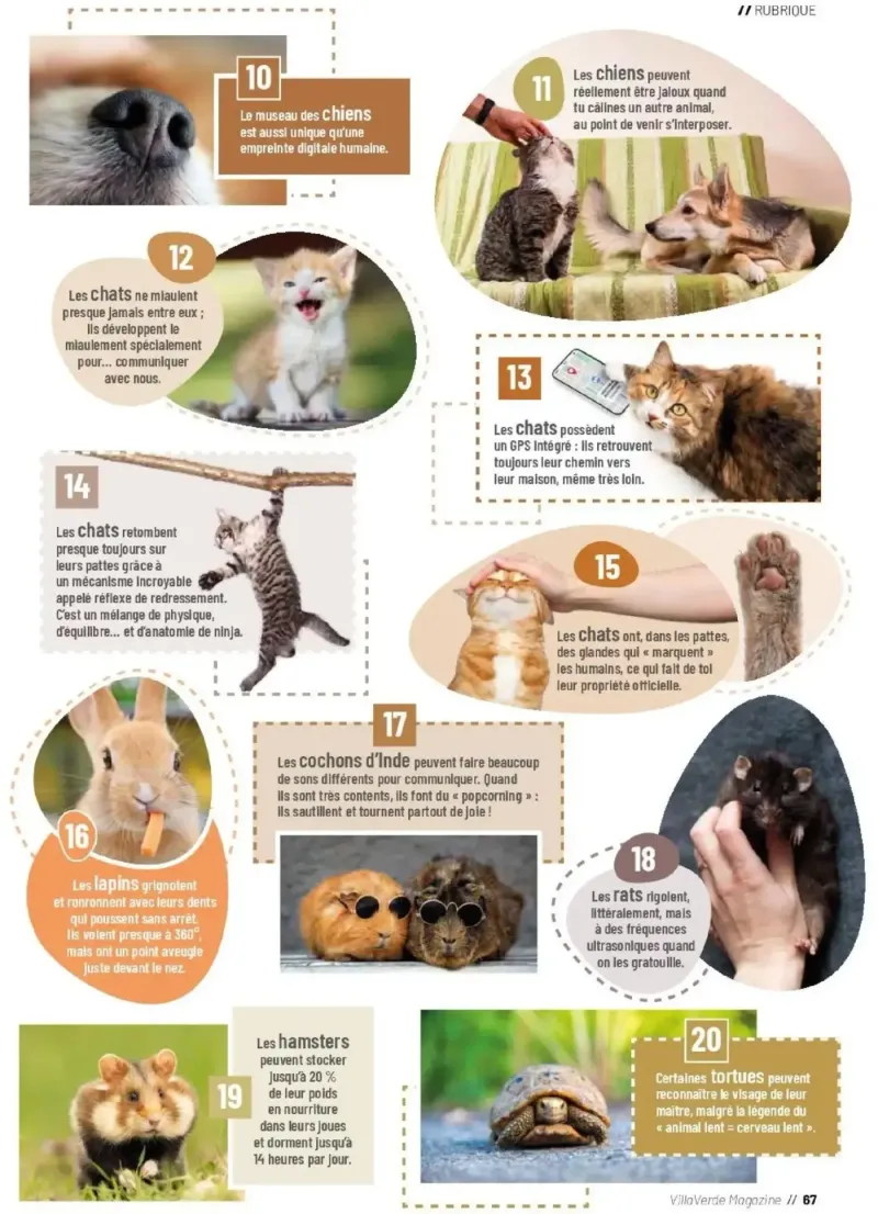 VillaVerde catalogue du 01/04 – page 67