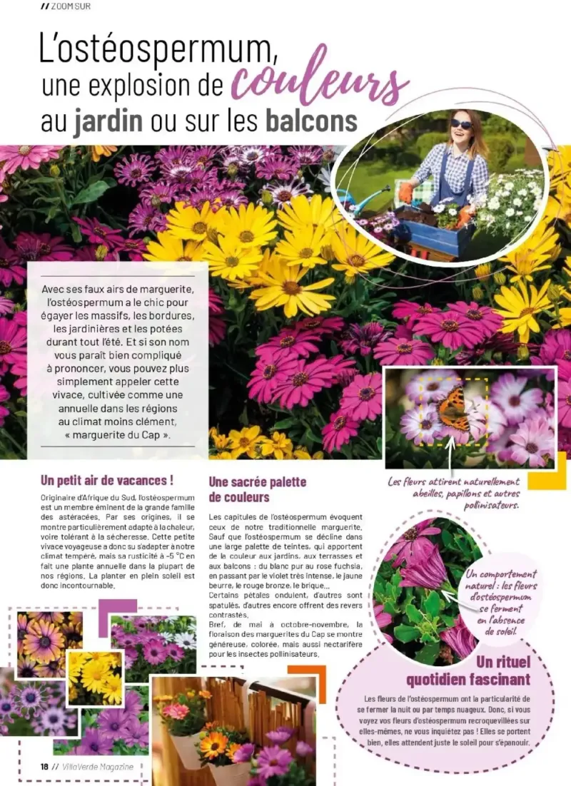 VillaVerde catalogue du 01/04 – page 18