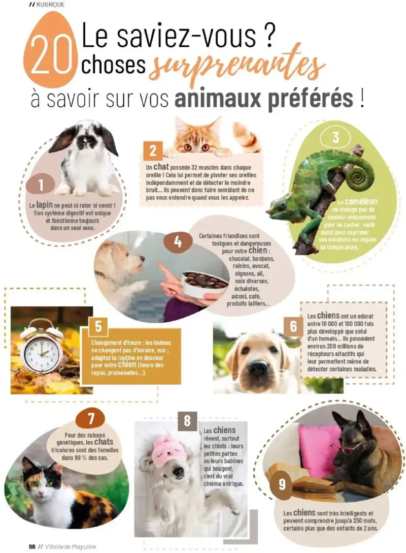 VillaVerde catalogue du 01/04 – page 66