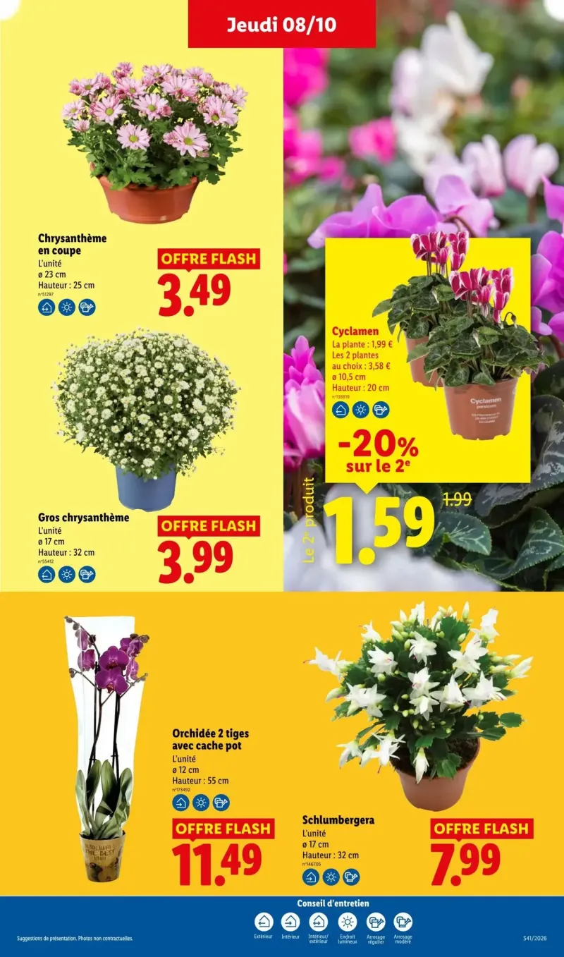 Lidl catalogue du 04/10 au 15/10/2026 – page 29