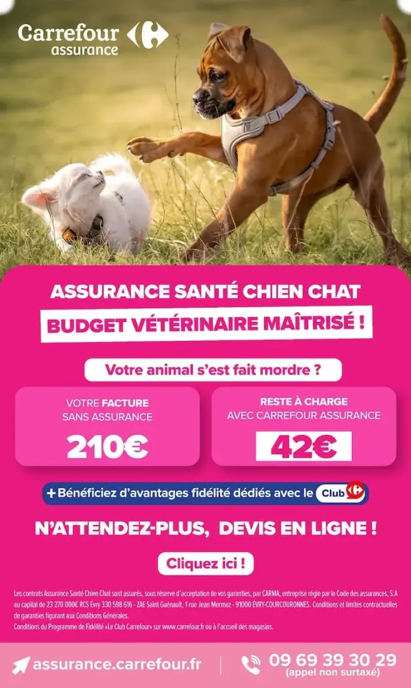 Carrefour Market catalogue du 06/10 au 19/10/2026 – page 20