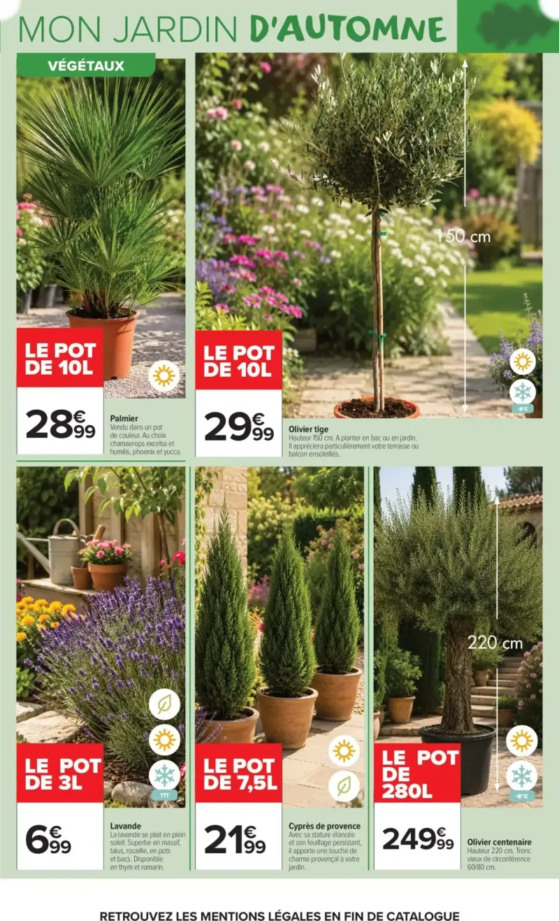 Carrefour Market catalogue du 22/09 – page 3