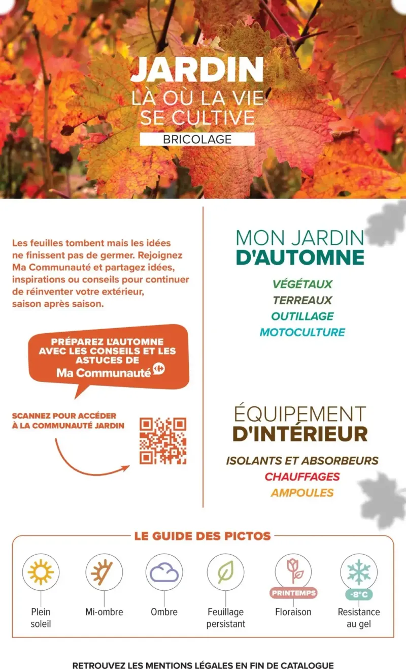 Carrefour catalogue du 29/09 – page 2