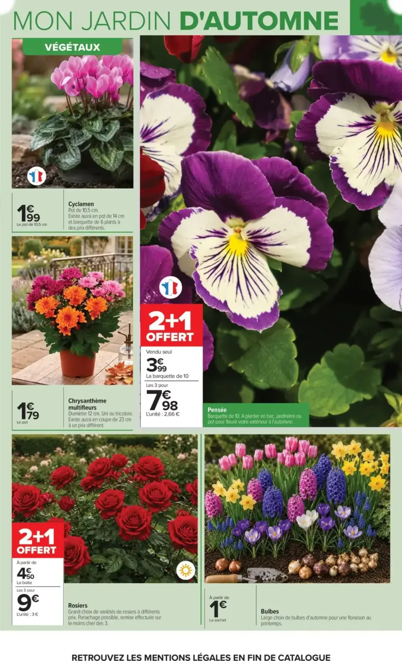 Carrefour catalogue du 29/09 – page 3