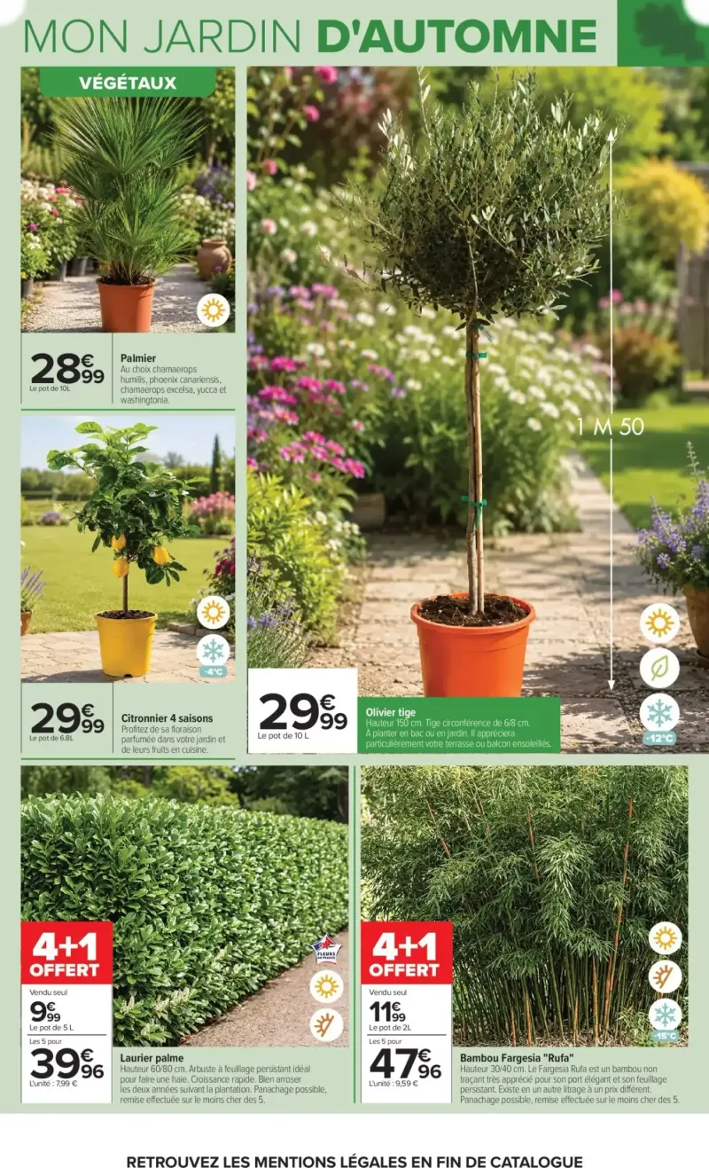 Carrefour catalogue du 29/09 – page 4