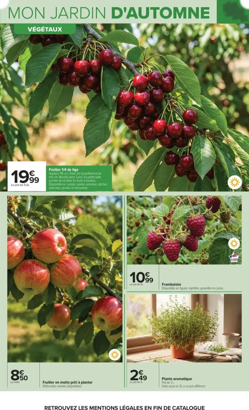 Carrefour catalogue du 29/09 – page 5