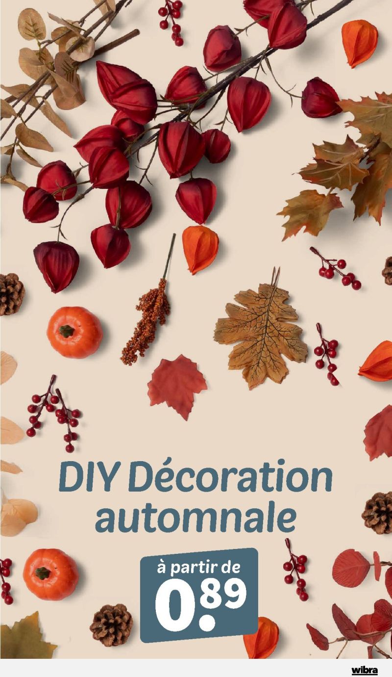 Wibra catalogue du 28/09 au 11/10/2026 – page 10