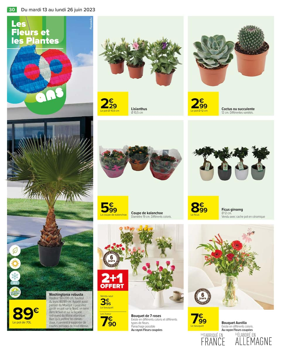 TEST Kabir for Carrefour - Page 36