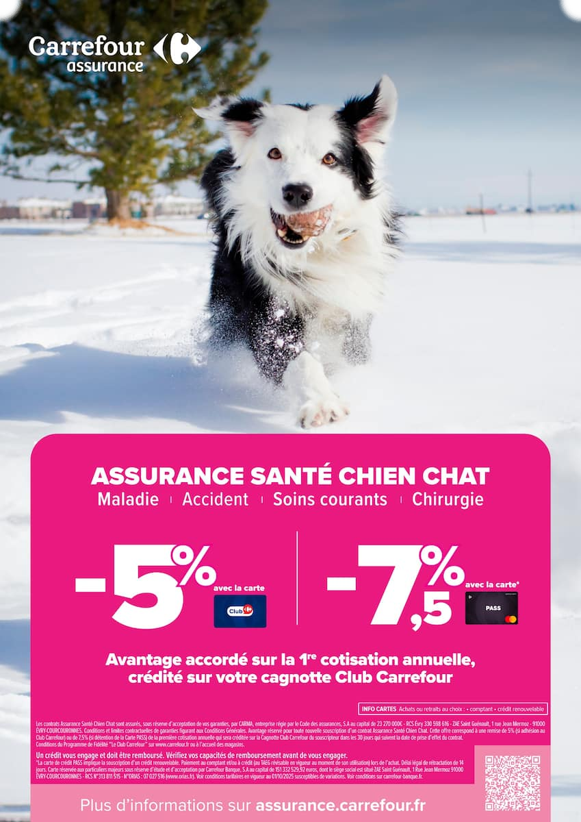 ALCOOLS & BIÈRES - Page 77