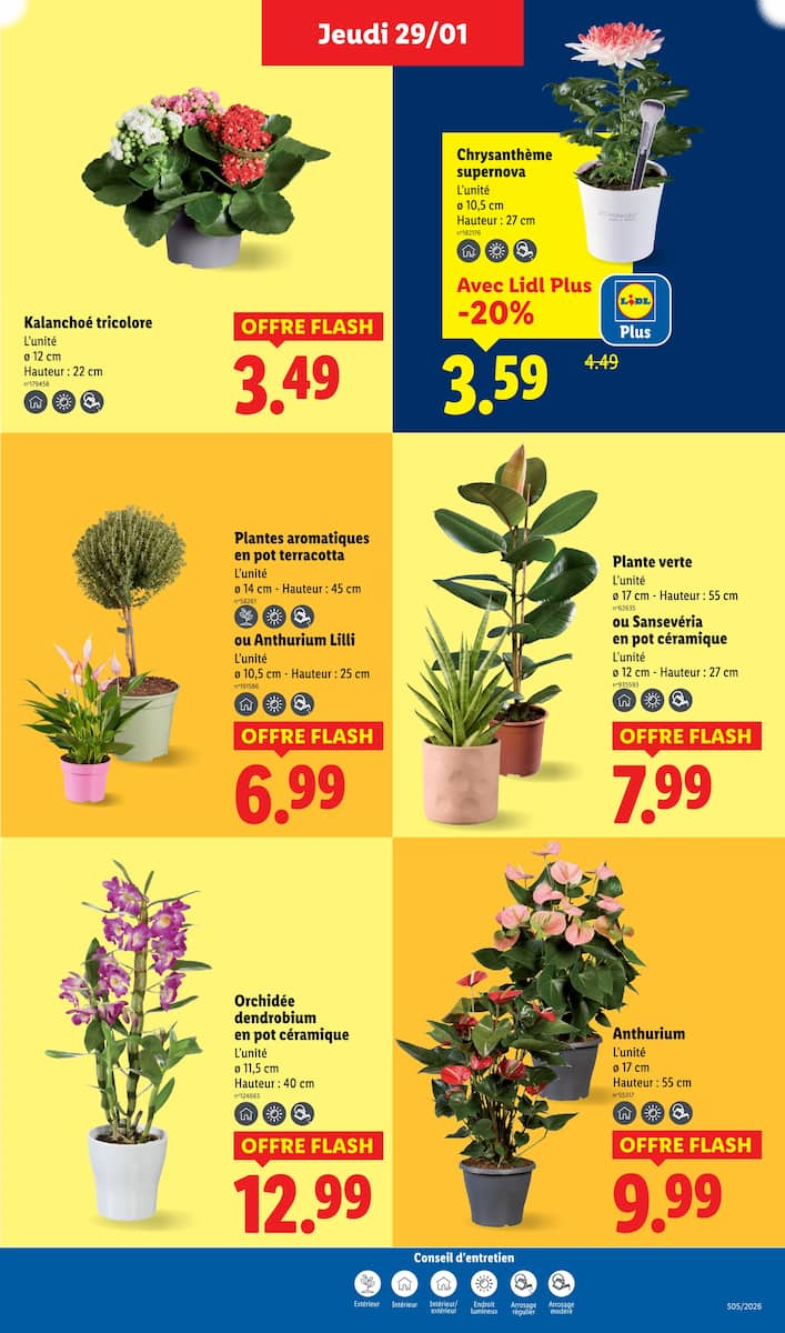 Ça vaut le coup. - Page 29