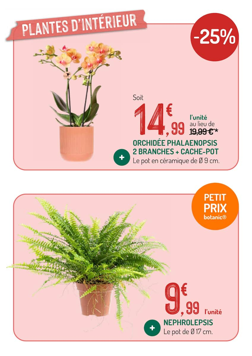 LES OFFRES DU MOMENT À NE PAS MANQUER - Page 7