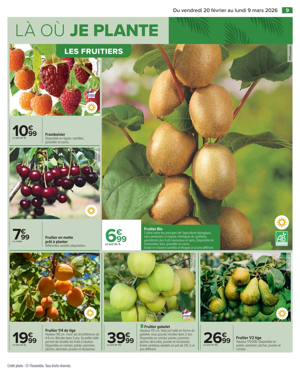 JARDIN LÀ OÙ LA VIE SE CULTIVE - Page 11