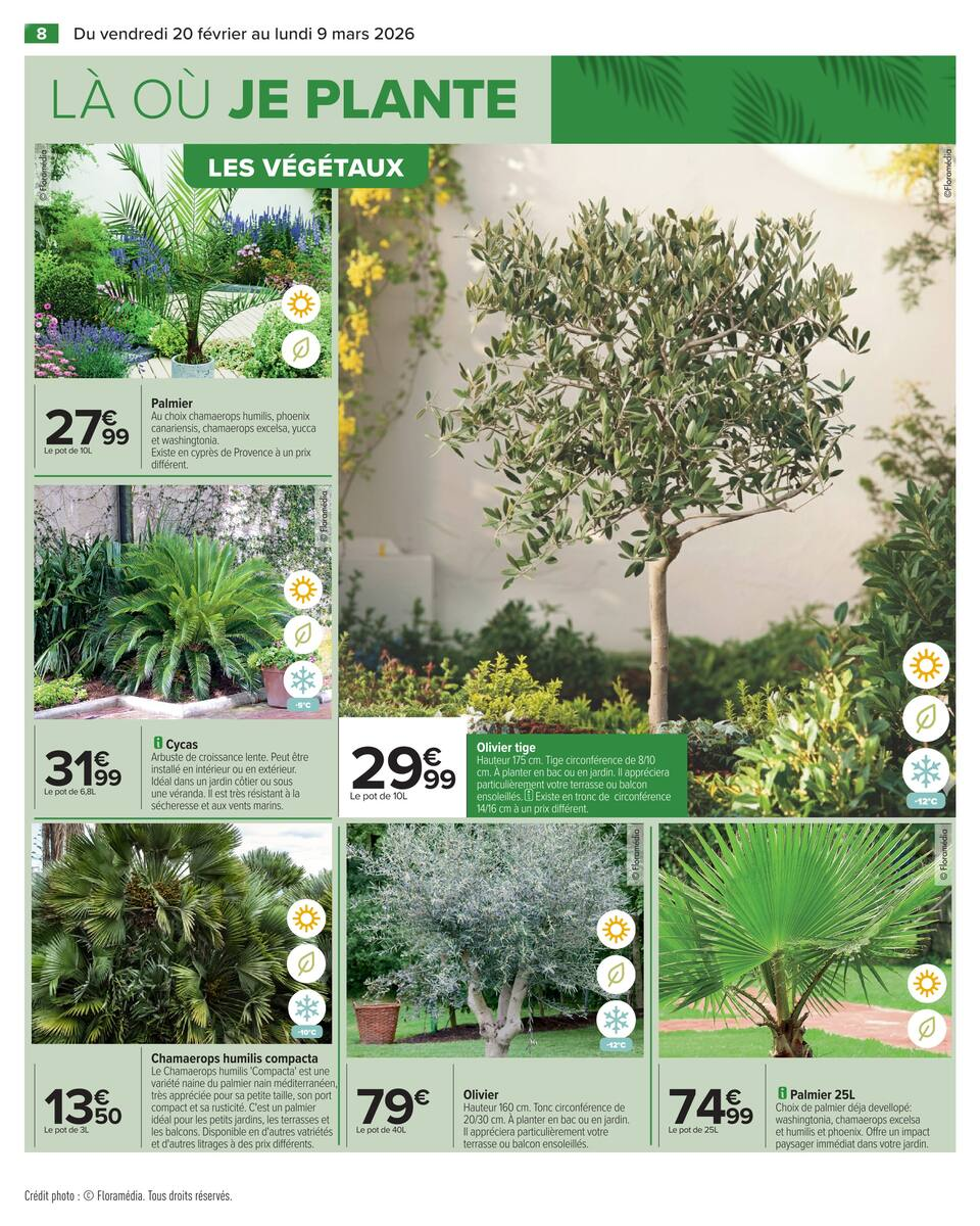 JARDIN LÀ OÙ LA VIE SE CULTIVE - Page 10