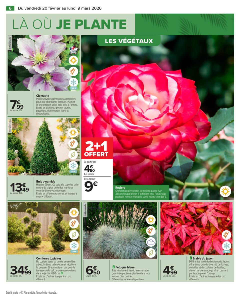 JARDIN LÀ OÙ LA VIE SE CULTIVE - Page 8