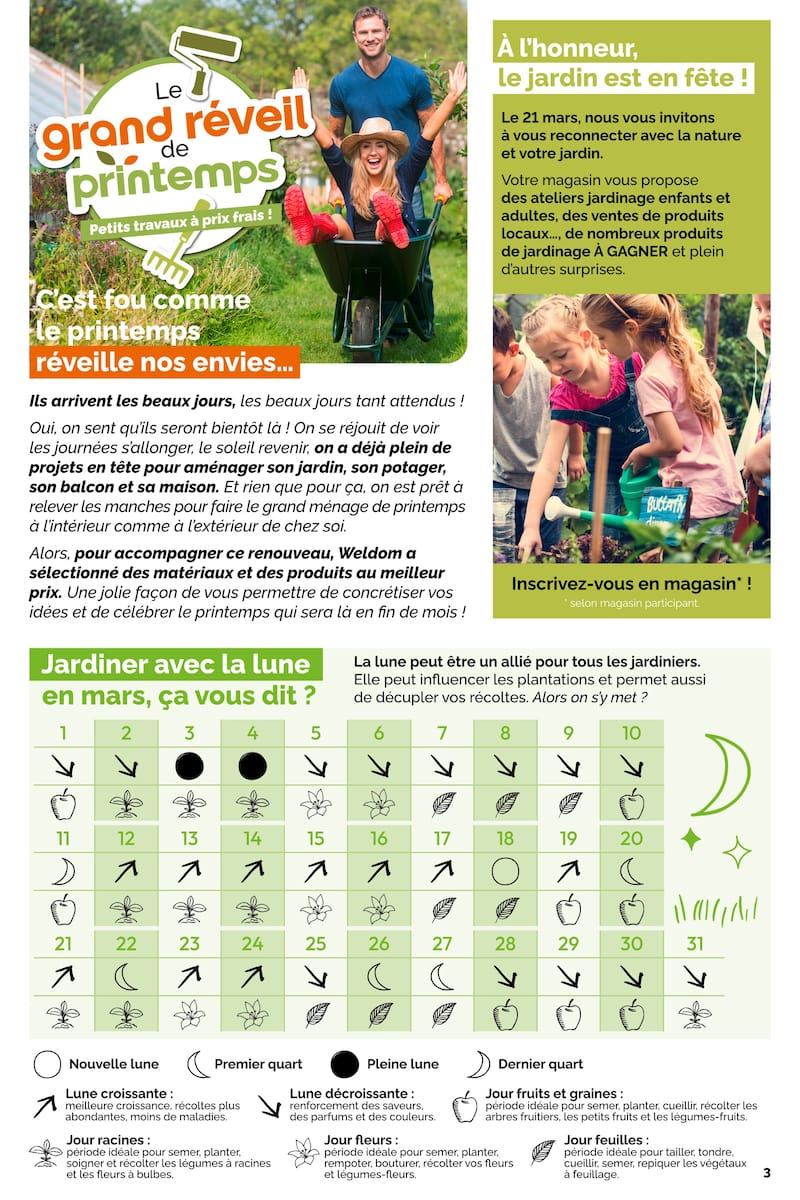 Le grand réveil de printemps Petits travaux à prix frais ! - Page 3