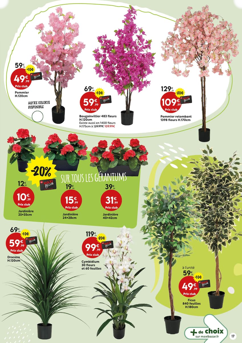 Envie DE JARDIN - Page 17