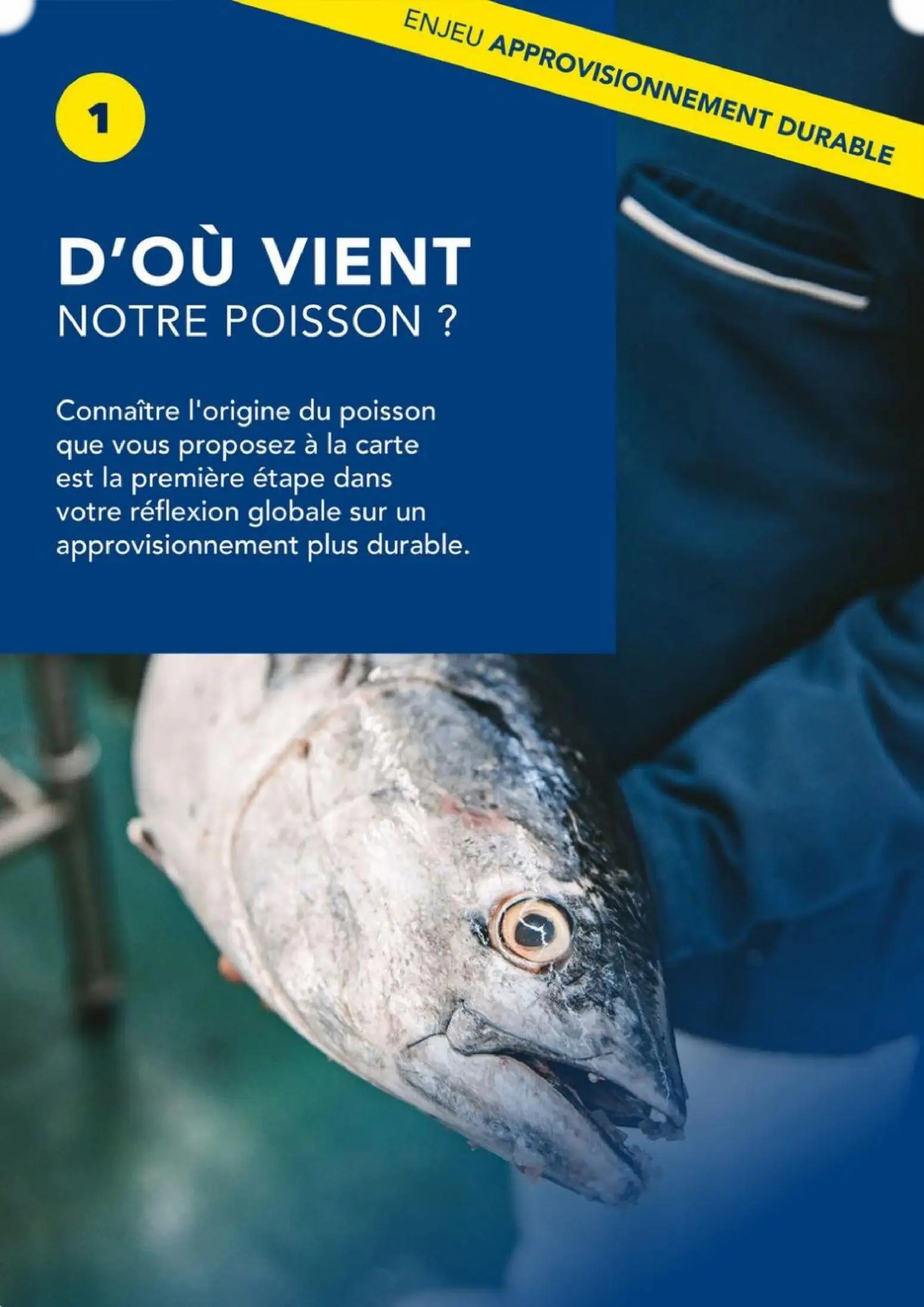  Catalog page 8 image 