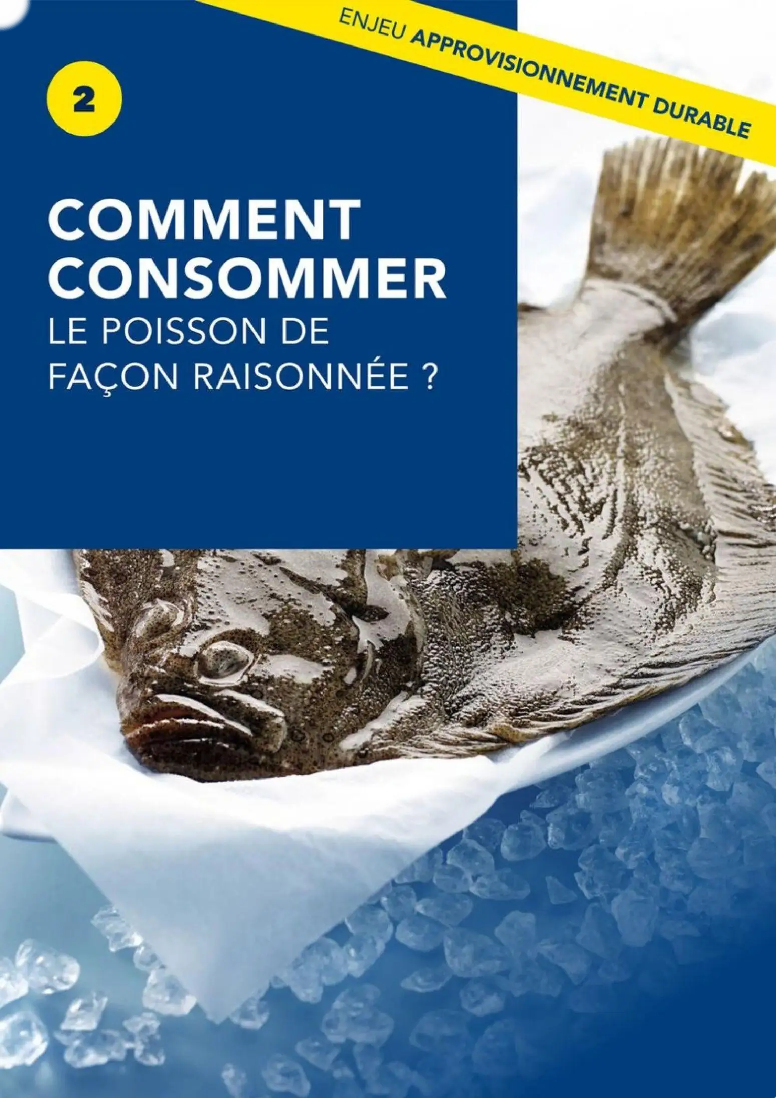  Catalog page 13 image 