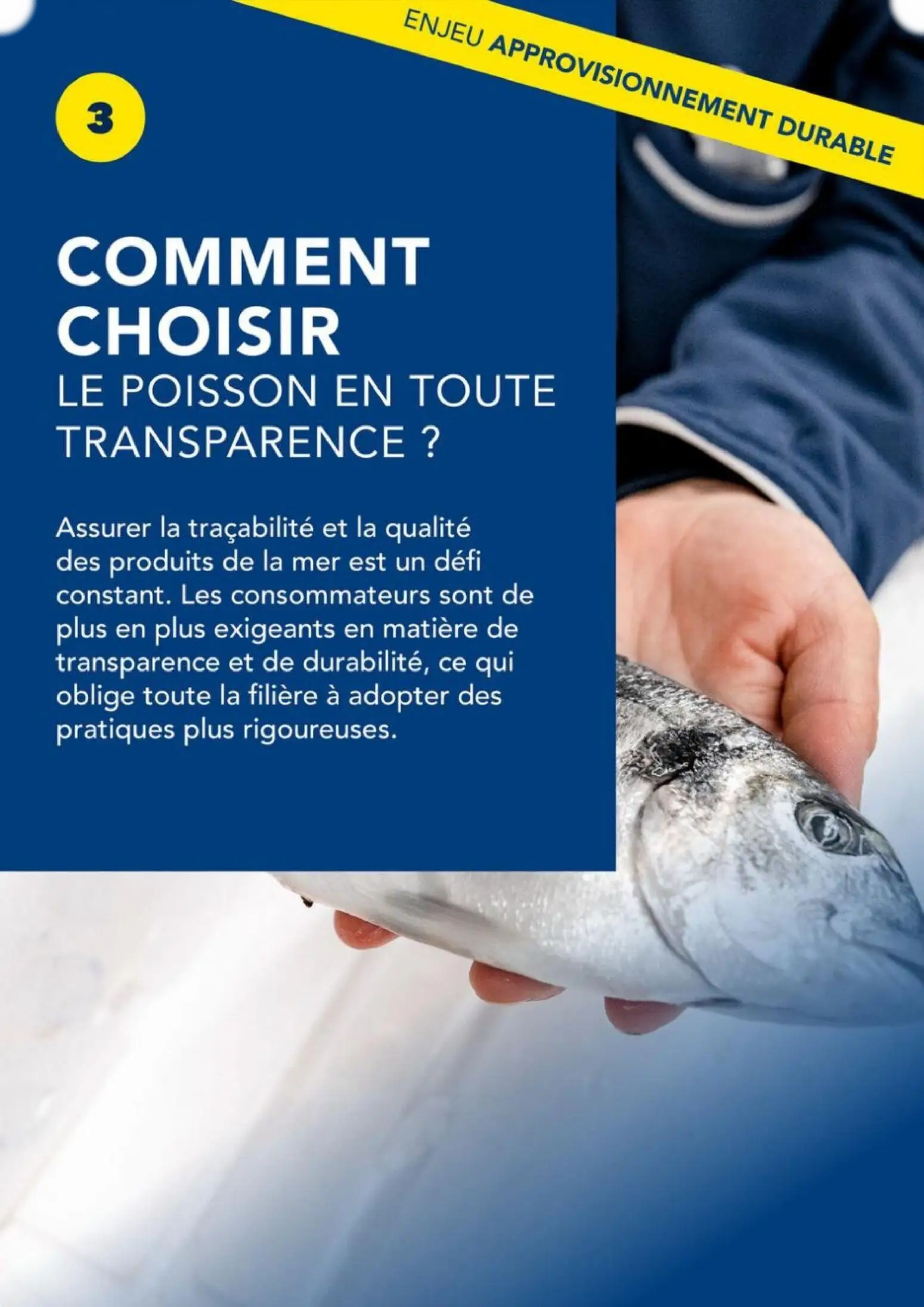  Catalog page 18 image 