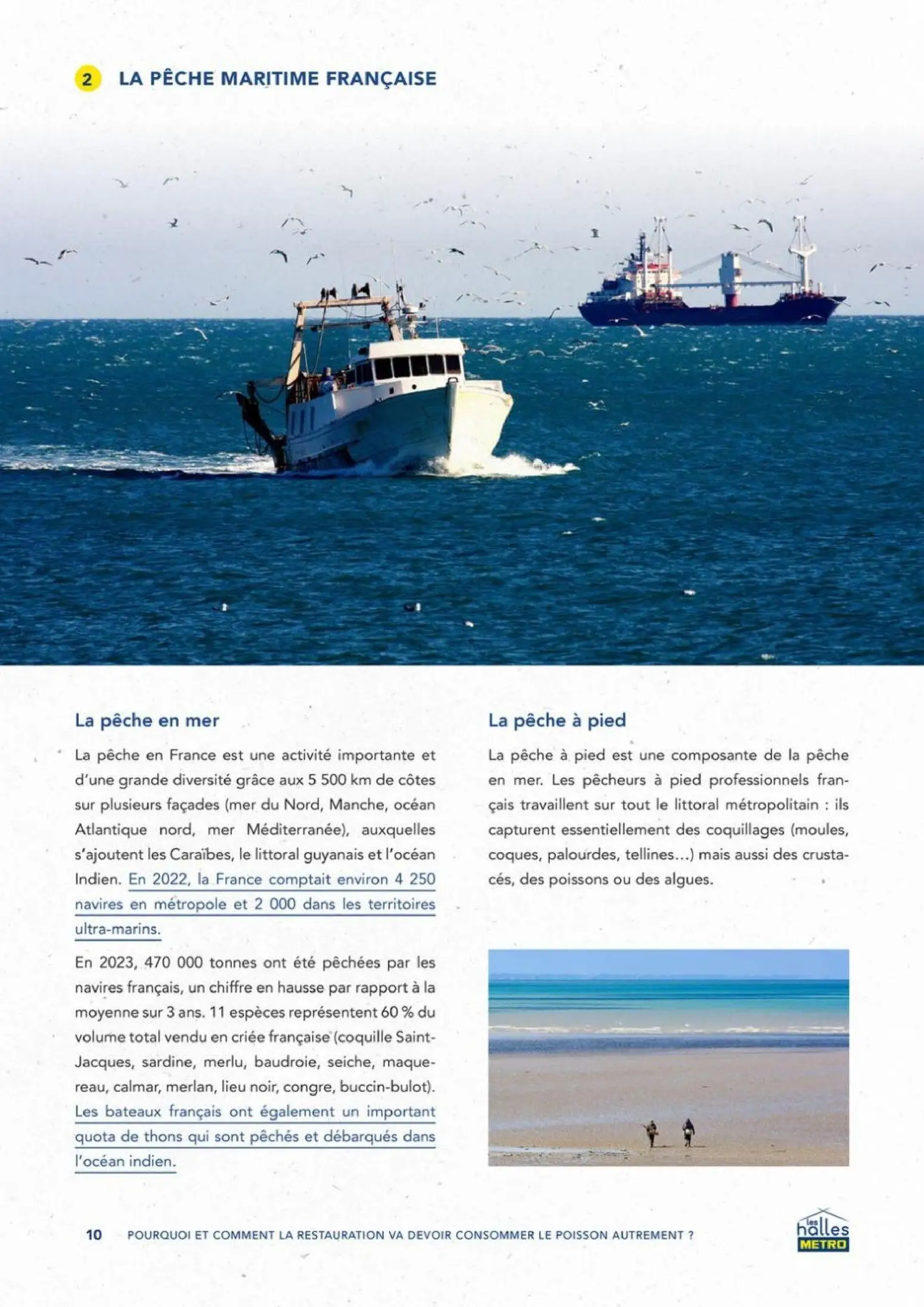  Catalog page 10 image 