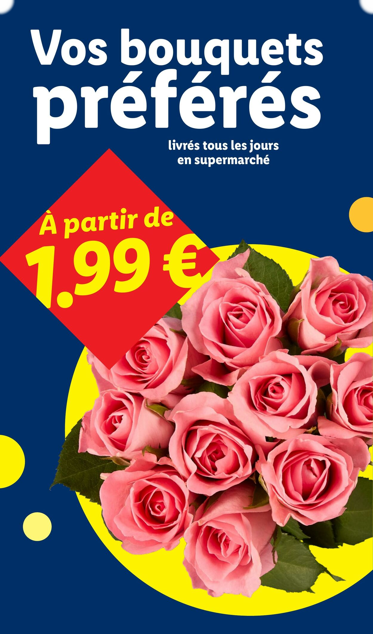Lidl - Page 28