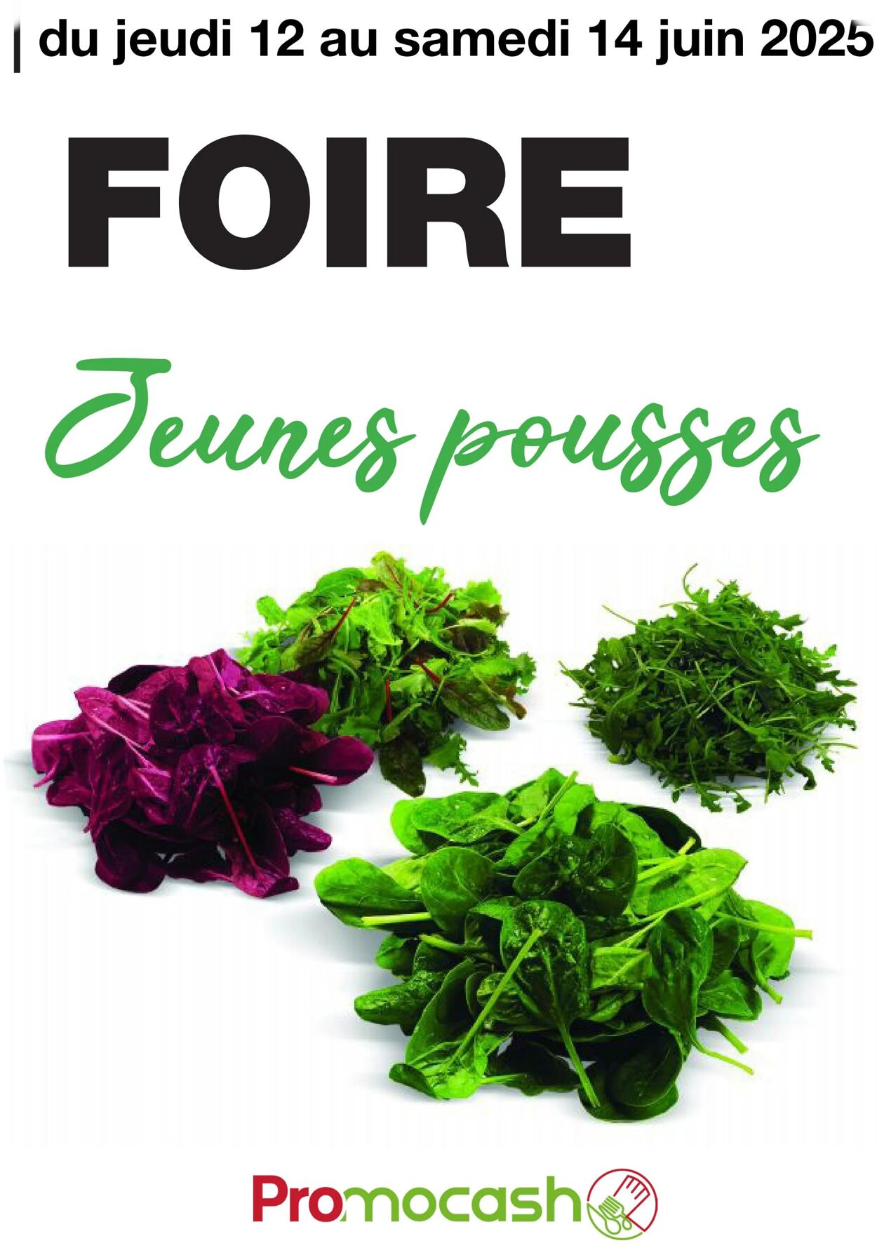  Catalog page 1 image 