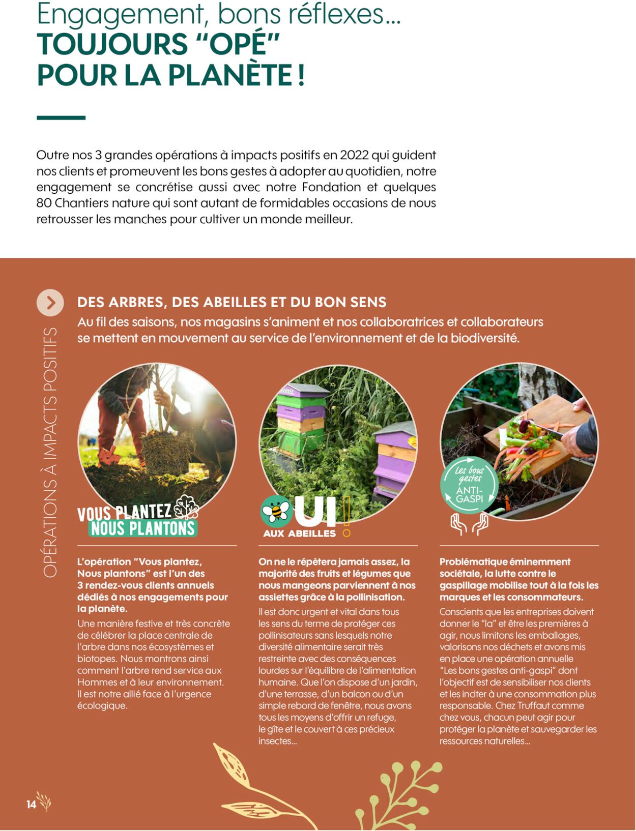  Catalog page 14 image 