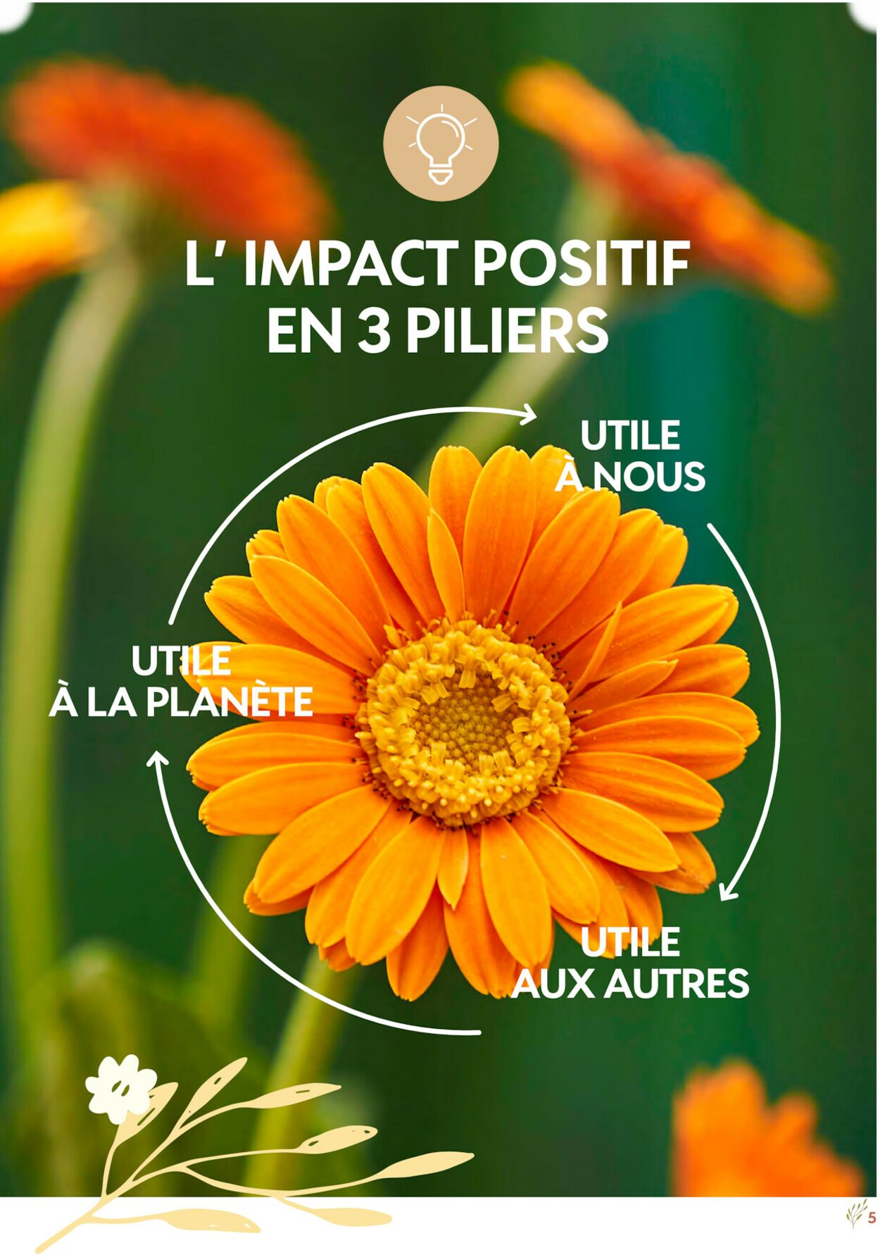  Catalog page 5 image 