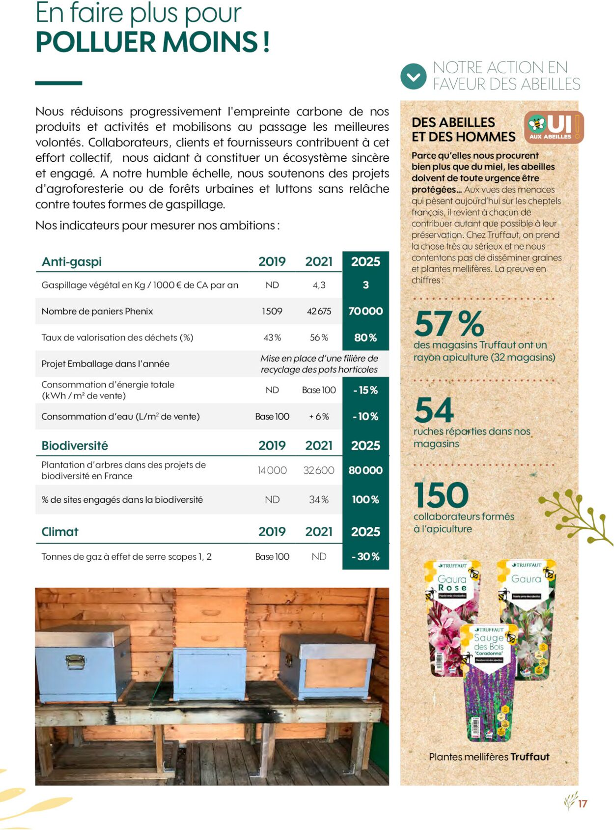  Catalog page 17 image 