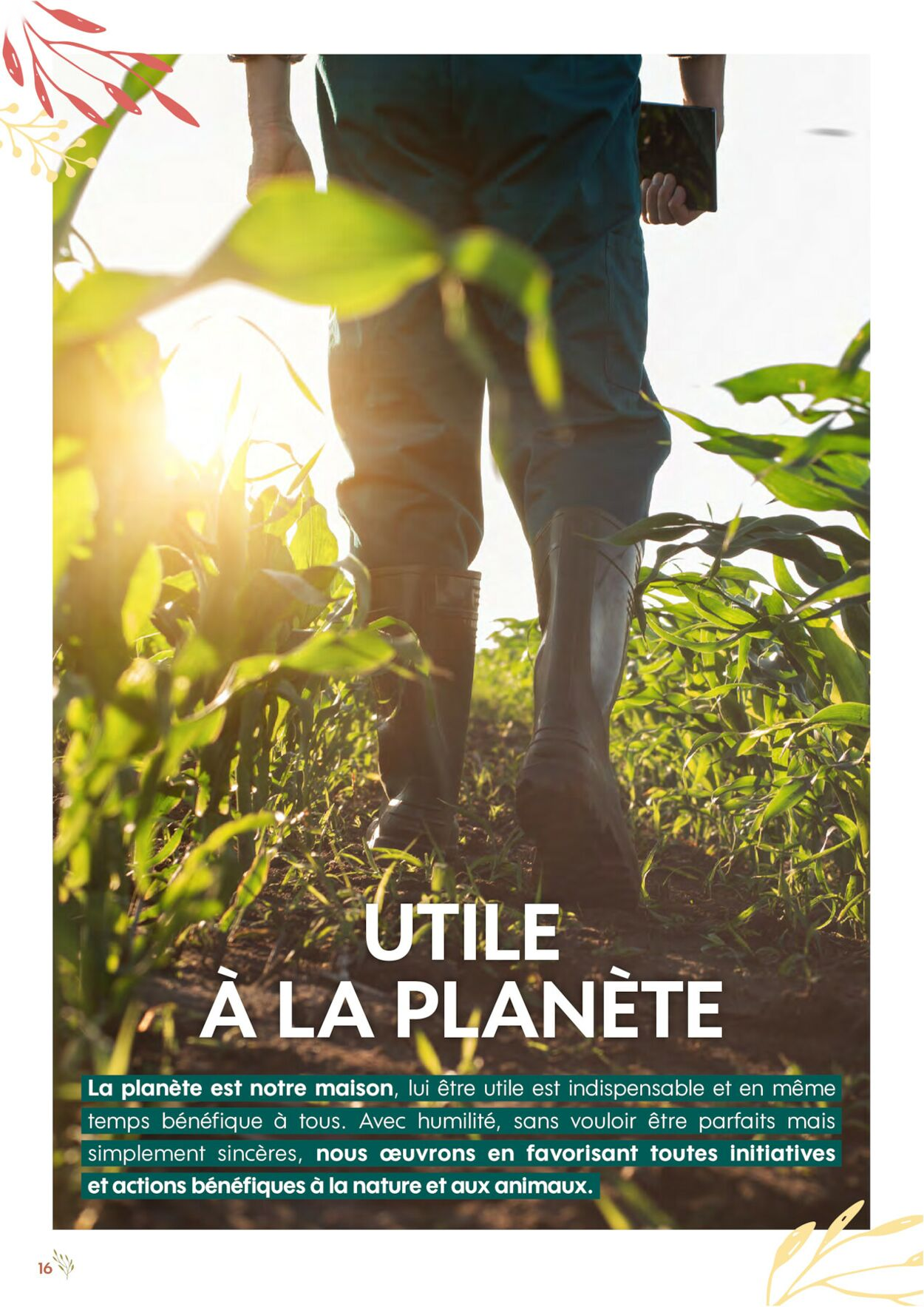  Catalog page 16 image 