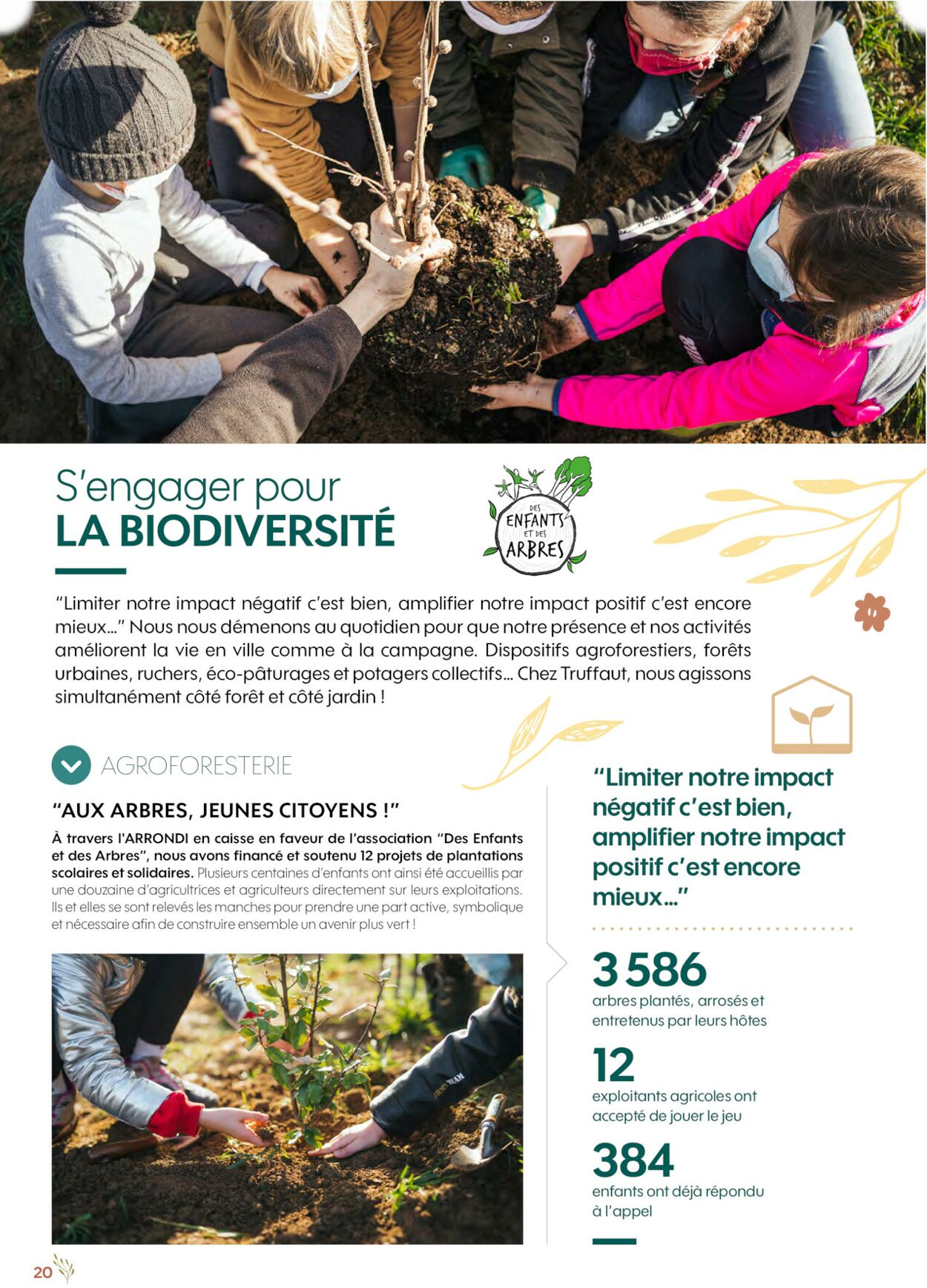  Catalog page 20 image 