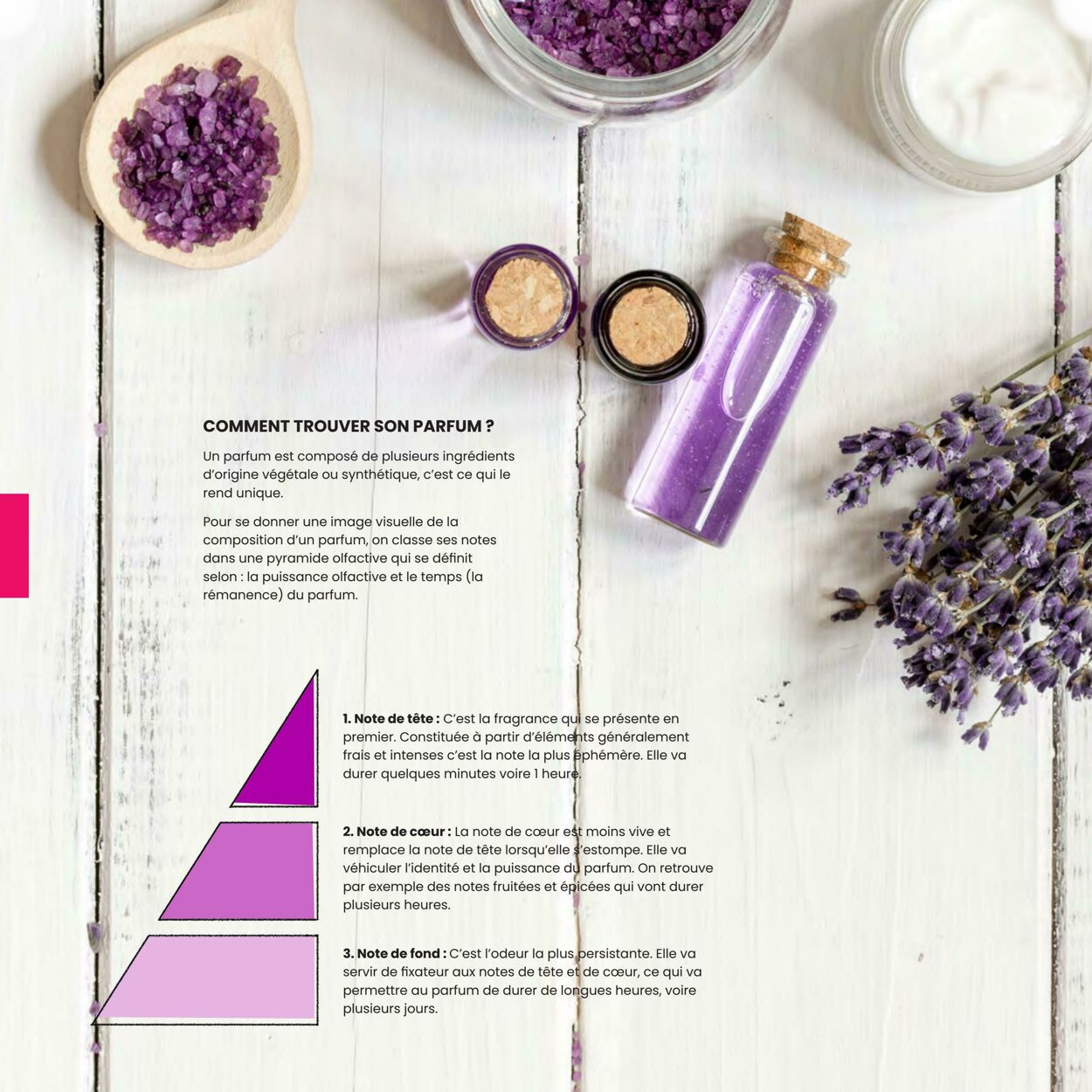  Catalog page 49 image 