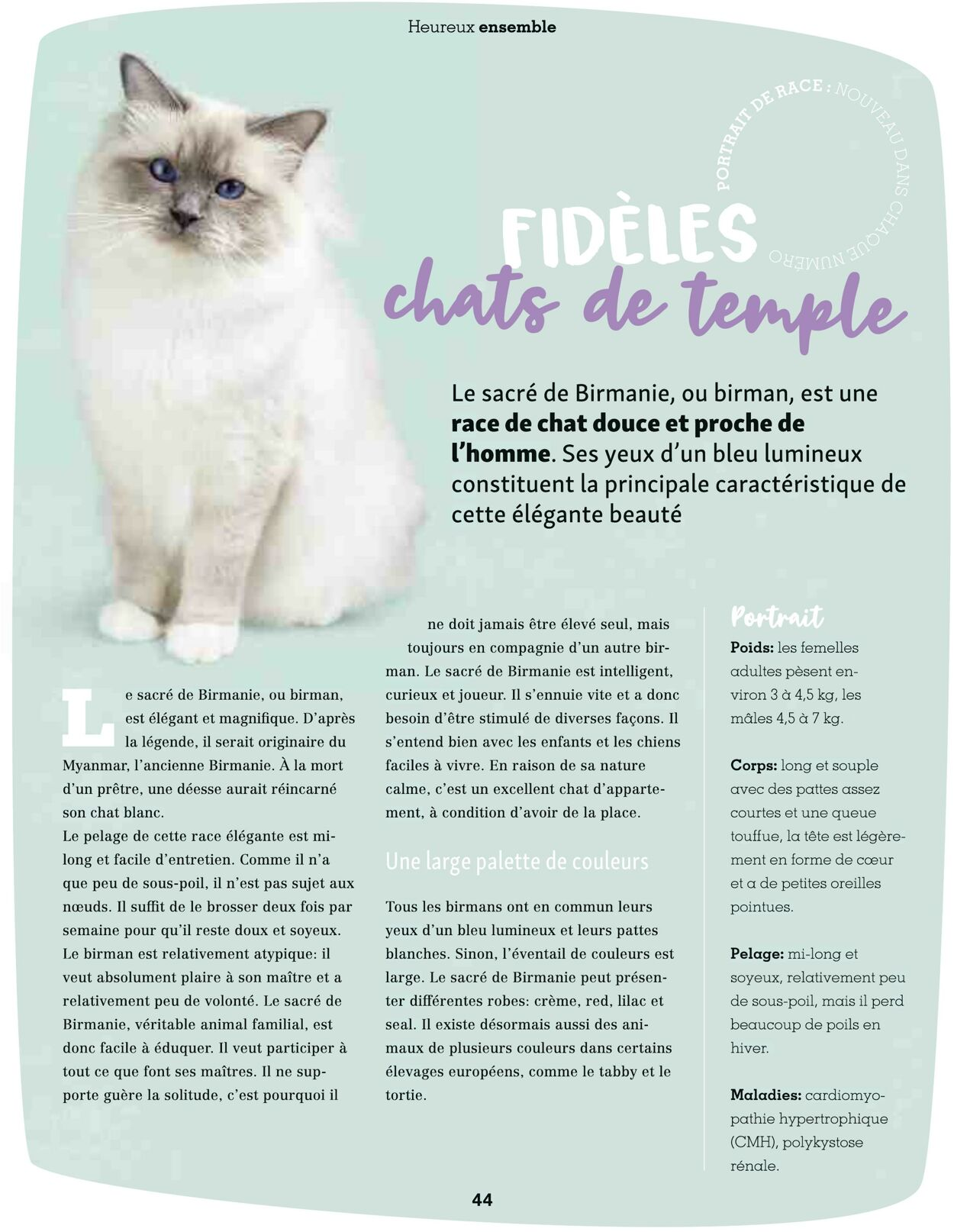  Catalog page 44 image 