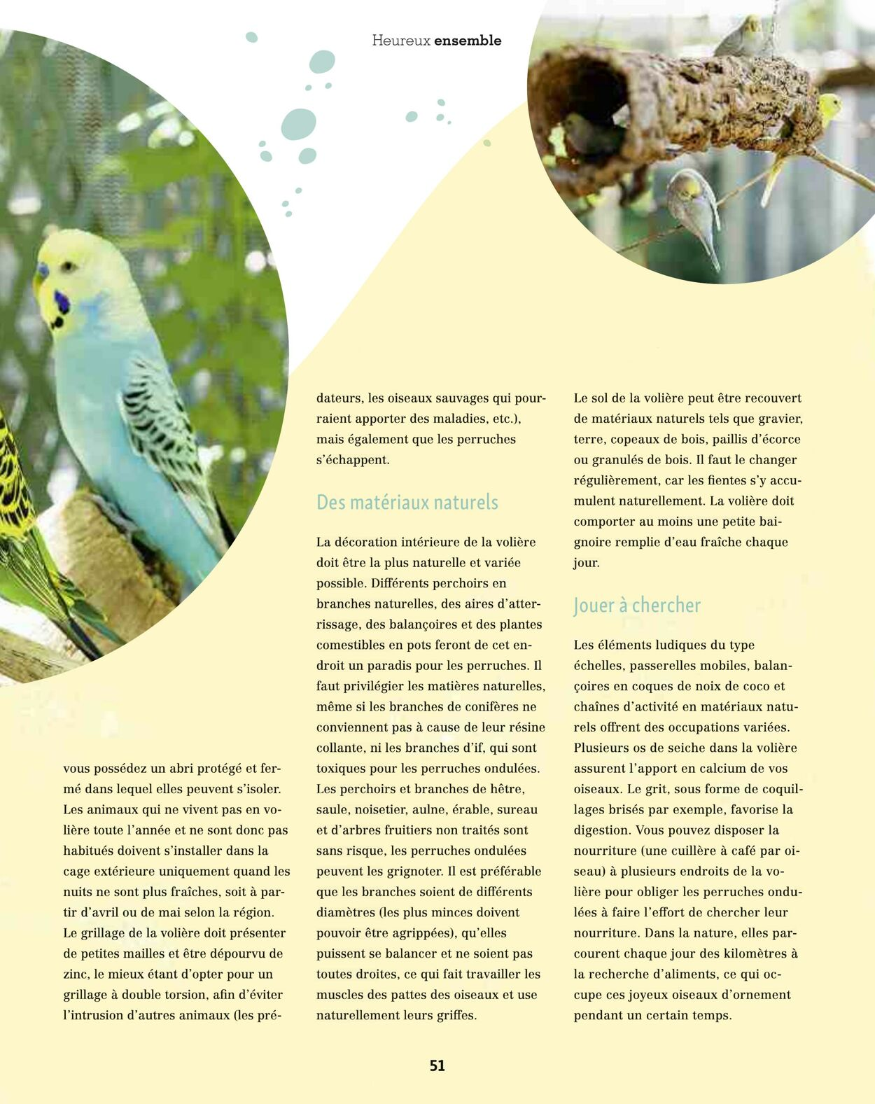  Catalog page 51 image 