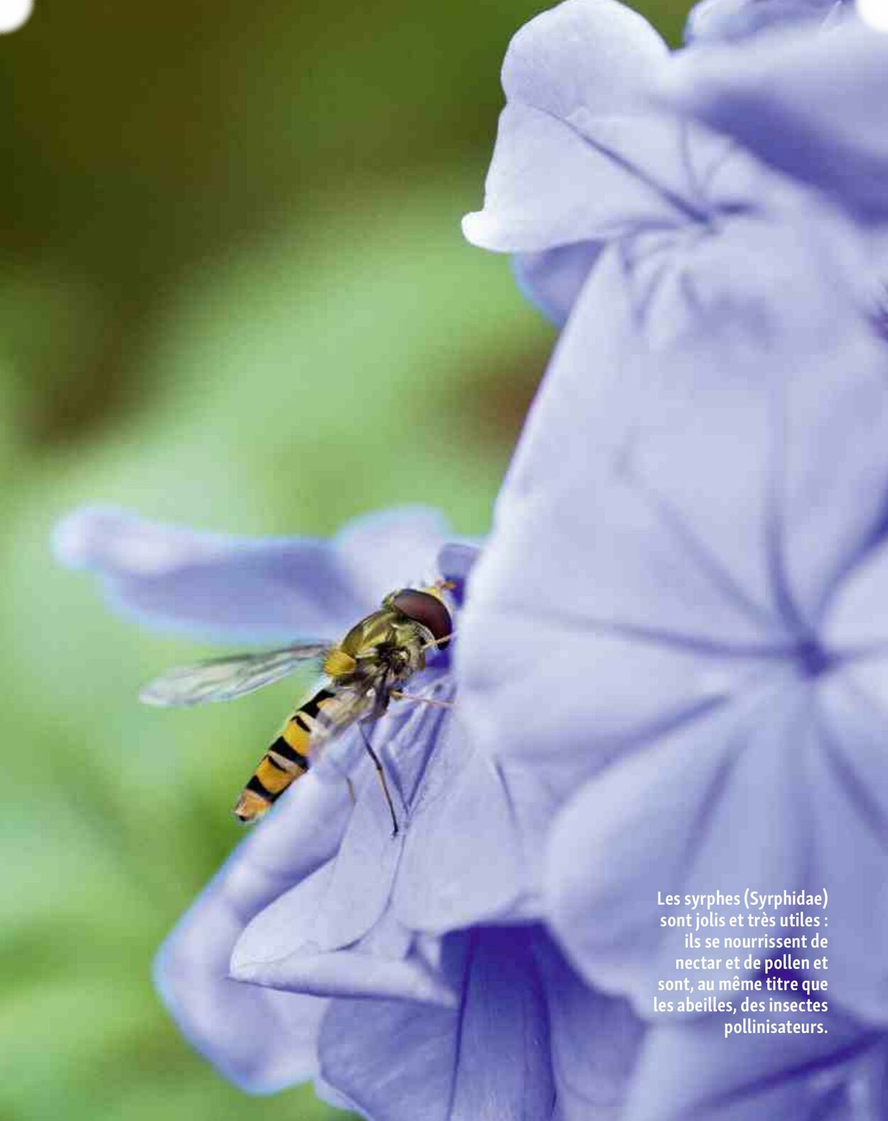  Catalog page 12 image 