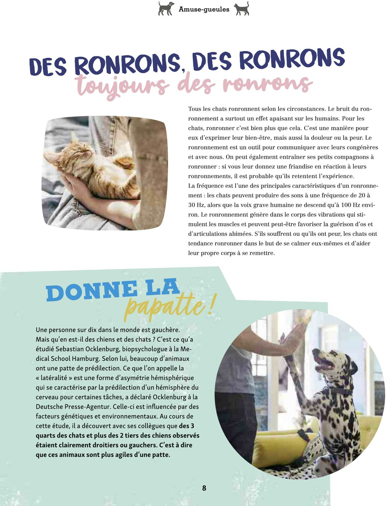  Catalog page 8 image 