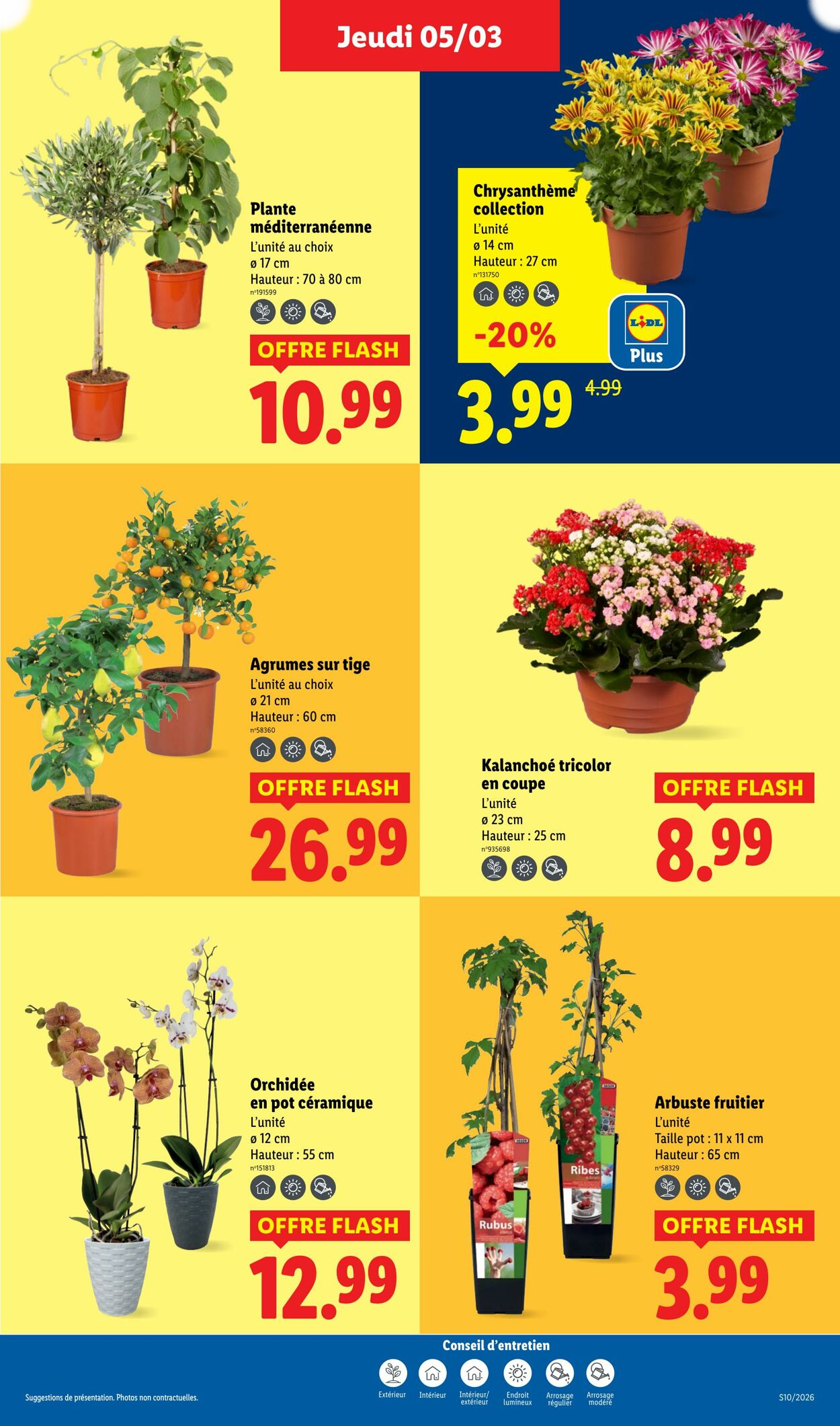 Lidl - Page 27