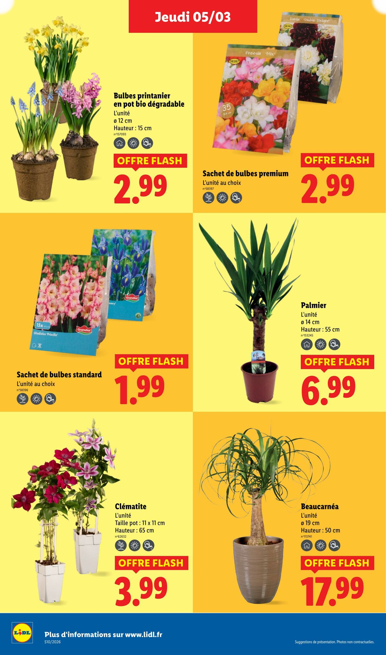 Lidl - Page 28